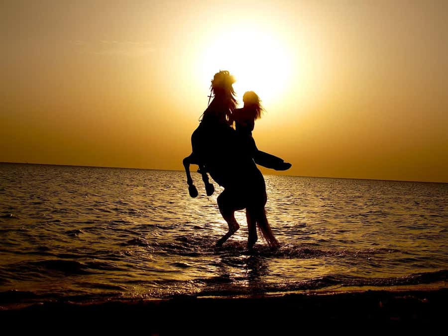 Makadi Bay: Horse Riding in Desert & Sea w Guide + Transfers - Practical preparation for the desert and shore