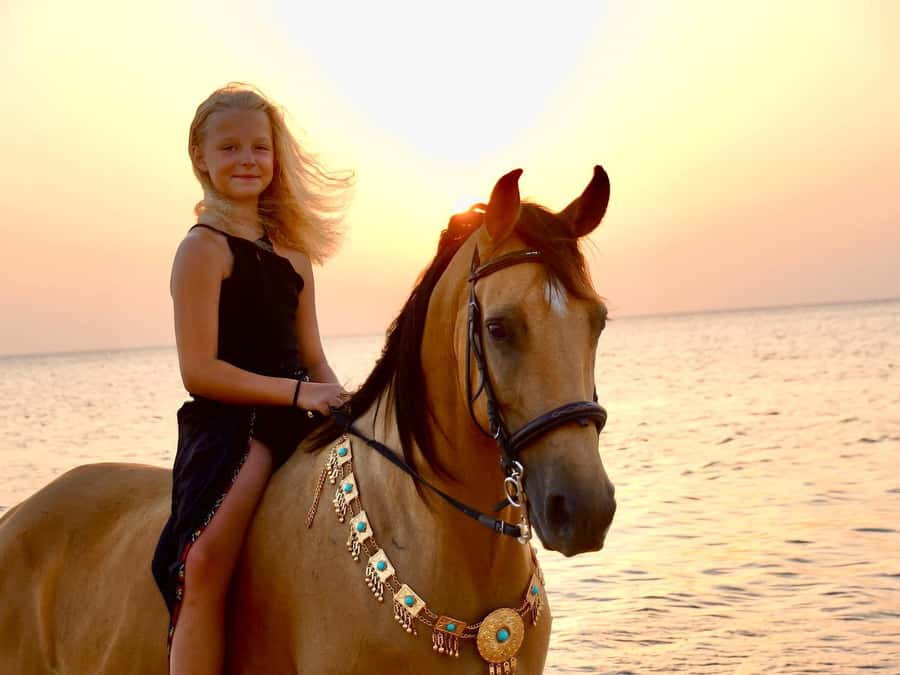 Makadi Bay: Horse Riding in Desert & Sea w Guide + Transfers - Should you book the Gamila Horseriding experience?