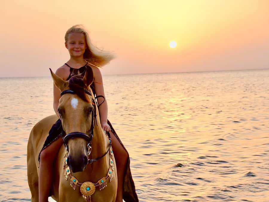 Makadi Bay: Horse Riding in Desert & Sea w Guide + Transfers - Meeting your horse before the two-hour ride