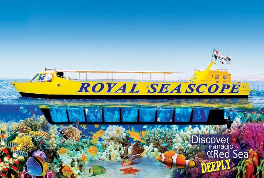 Makadi Bay: Royal Seascope Submarine Cruise & Snorkel stop - Key points at a glance