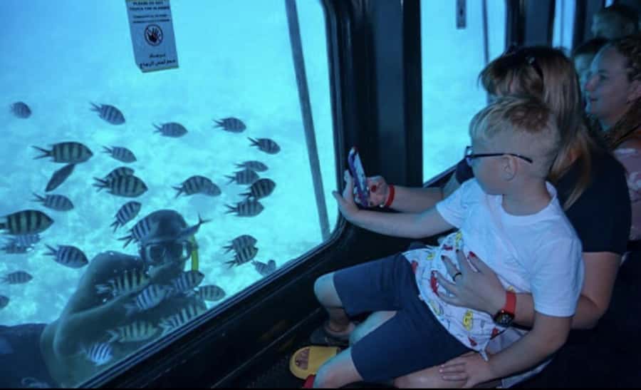 Makadi Bay: Royal Seascope Submarine Cruise & Snorkel stop - What makes the coral reef viewing worthwhile