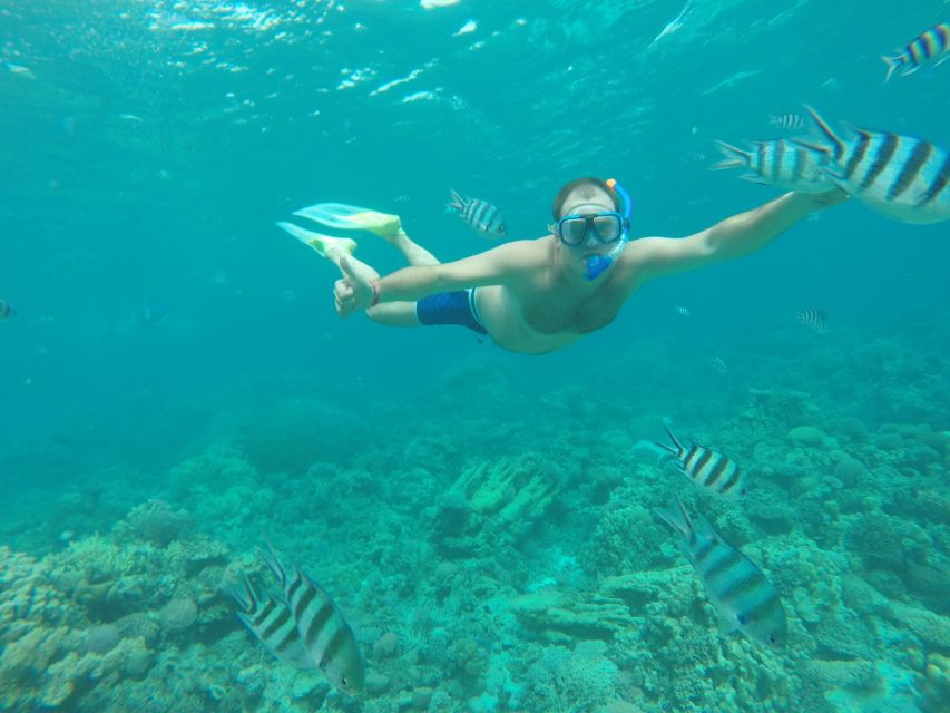 Makadi Bay: Snorkelling and Diving Island Trip - From Your Hotel In Makadi Bay To The Jetty