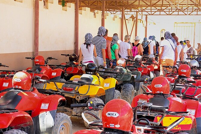 Makadi Bay: Sunset Quad & ATV Adventure & Seaview - The camel ride: short, simple, and useful for photos