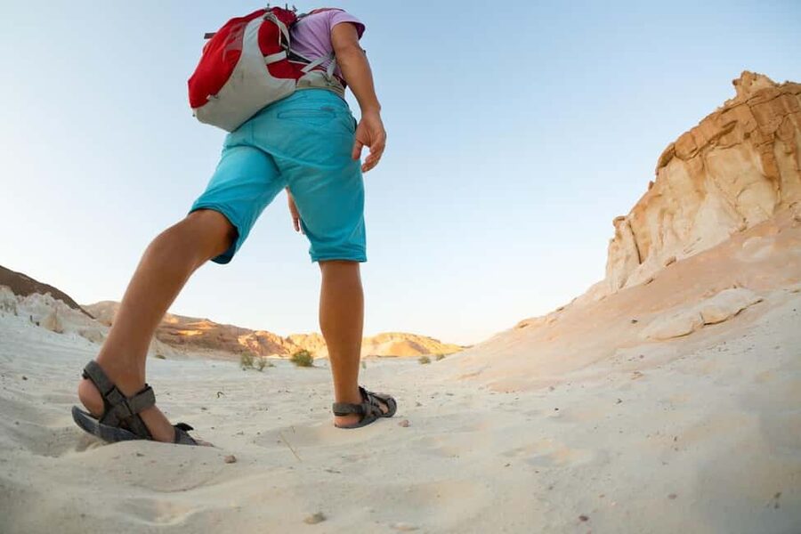Marsa Alam Bedouin Nights: Jeep Safari, Dinner & Stargazing - What the $76 price covers