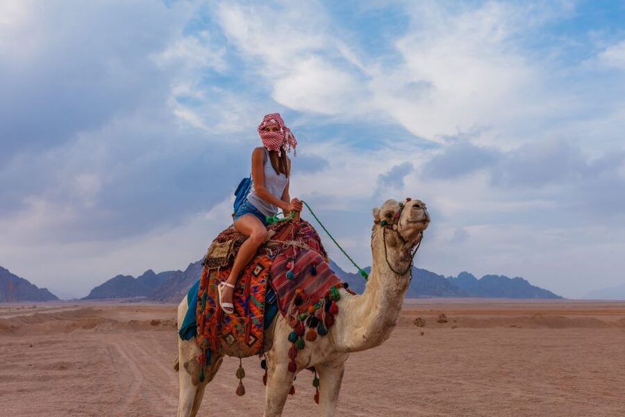 Marsa Alam Bedouin Nights: Jeep Safari, Dinner & Stargazing - A short camel ride with a traditional connection