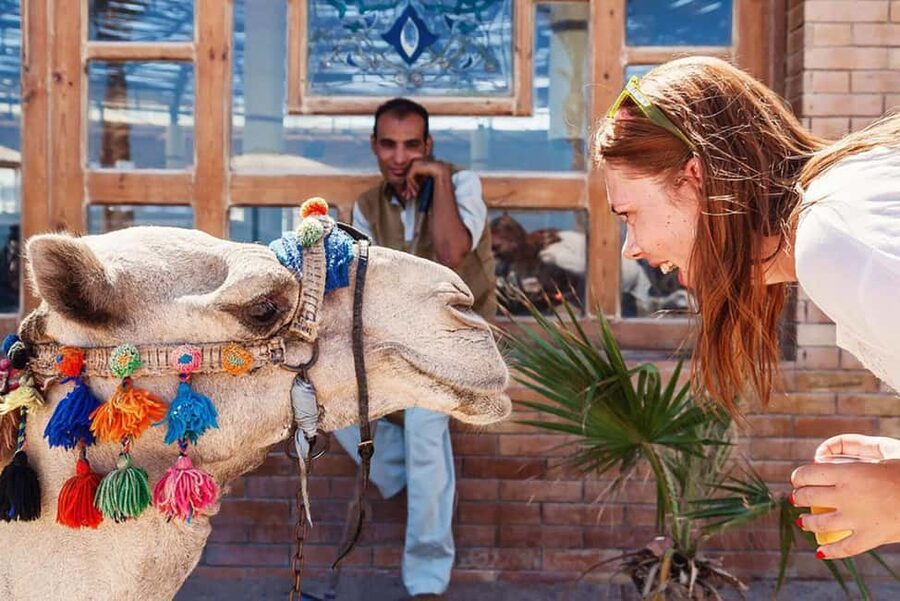 Marsa Alam Bedouin Nights: Jeep Safari, Dinner & Stargazing - Bedouin dinner under the stars