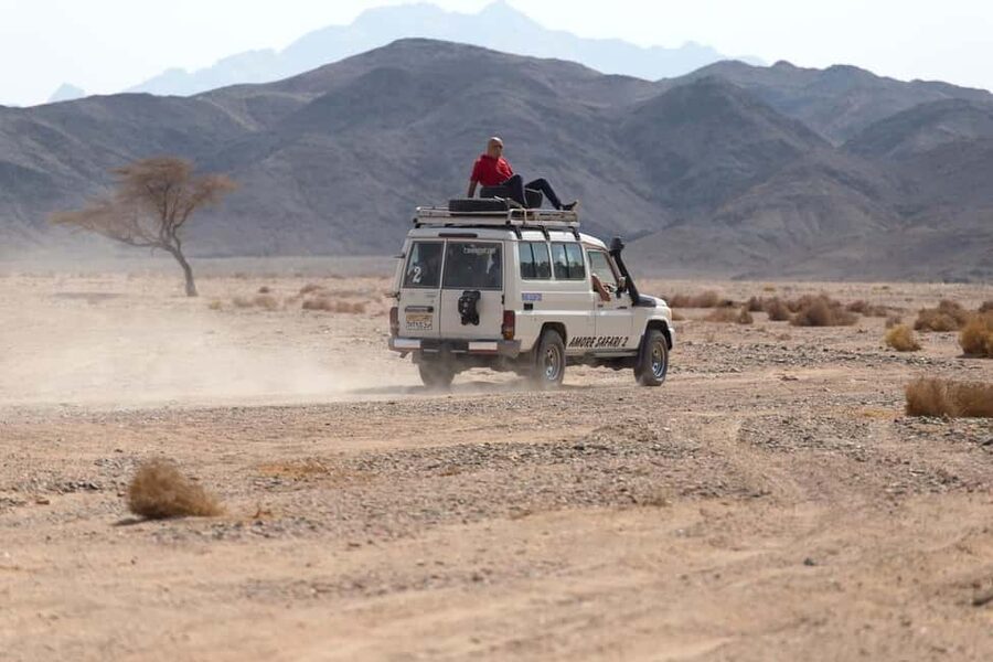 Marsa Alam Bedouin Nights: Jeep Safari, Dinner & Stargazing - Campfire tea, music, and local stories