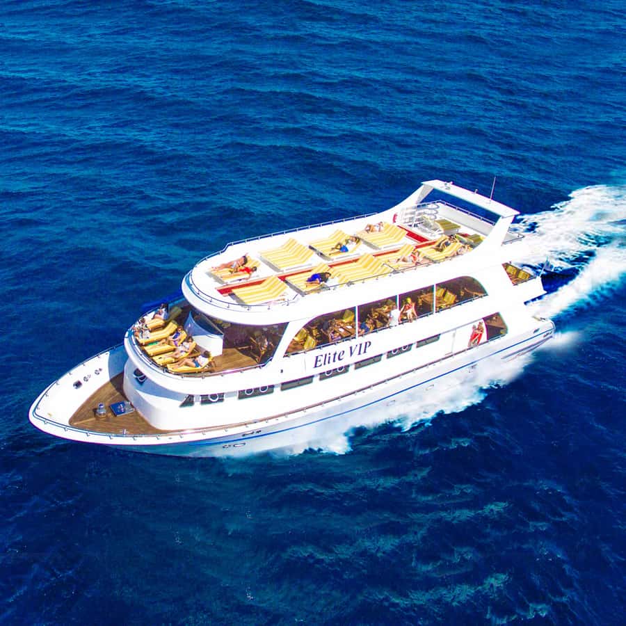 Marsa Alam: Elite vip Turtle bay snorkeling with BBQ Lunch - Key points before you book