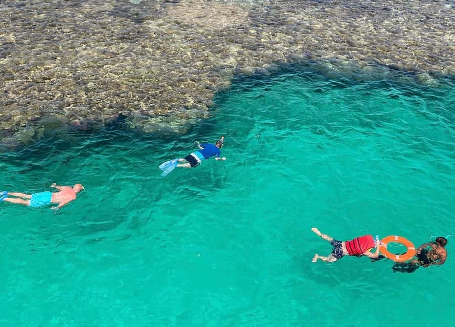 Marsa Alam: Elite vip Turtle bay snorkeling with BBQ Lunch - What the strongest experiences have in common