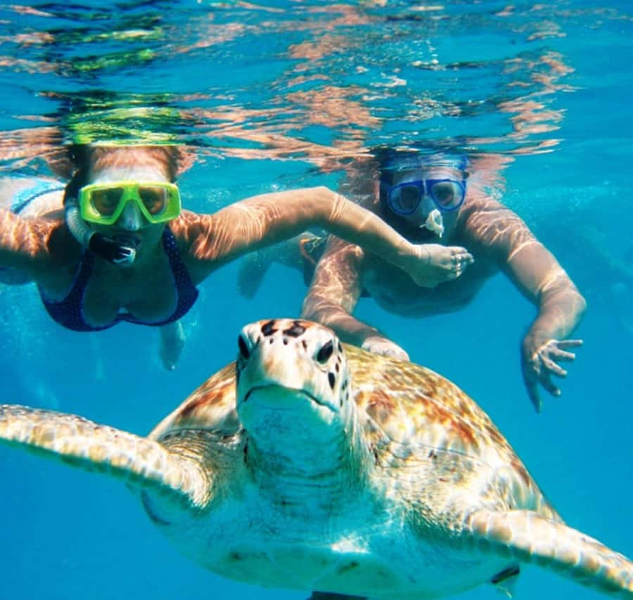 Marsa Alam: Pirates Premium Boat to turtle bay with lunch - The Port Ghalib stop needs closer attention