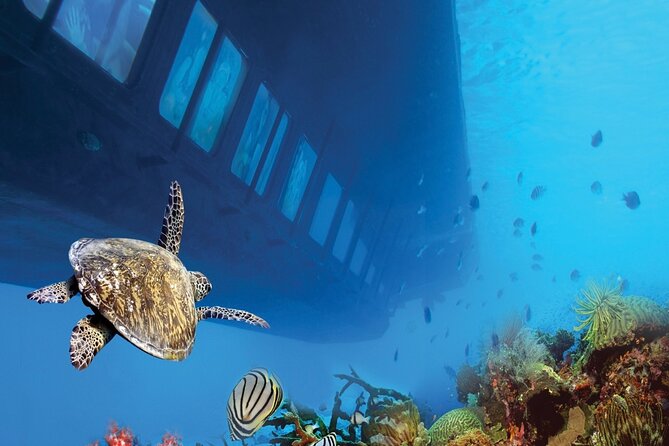 Marsa Alam: Royal Seascope Submarine Cruise with Pickup - What the Royal Seascope experience actually is