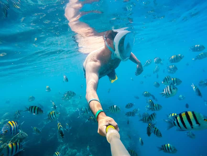Marsa Alam:Sataya Reefs Dolphin Snorkeling Cruise with Lunch - Cruising from the marina to Dolphin House