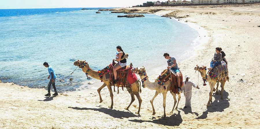 Marsa Alam: Sea and Desert Camel Riding Tour - Key points to know before booking