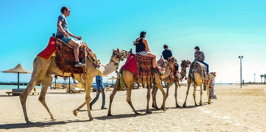 Marsa Alam: Sea and Desert Camel Riding Tour - A quiet way to see Marsa Alam