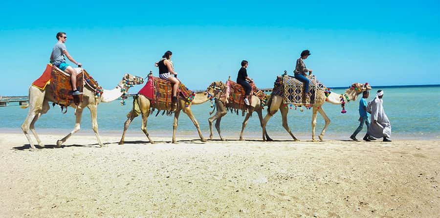 Marsa Alam: Sea and Desert Camel Riding Tour - Two hours across desert and coast