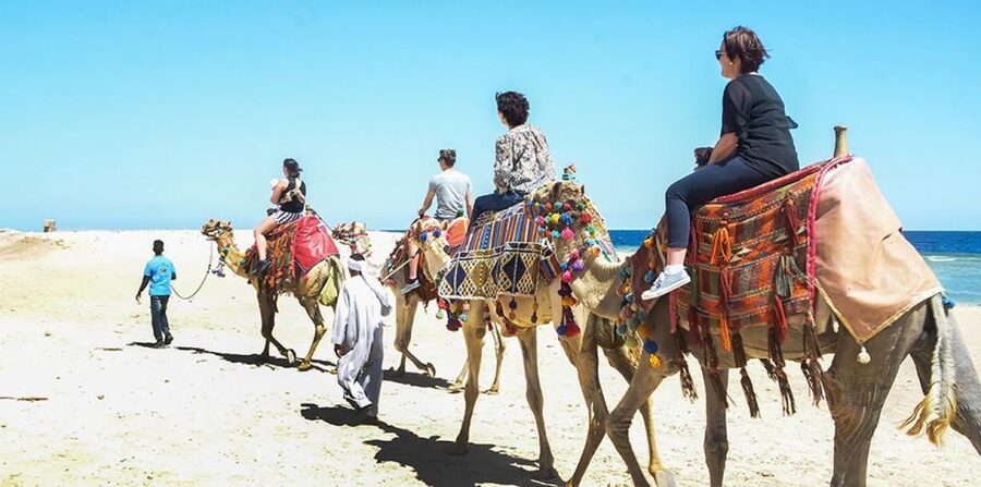 Marsa Alam: Sea and Desert Camel Riding Tour - Sunrise, midday, or sunset?