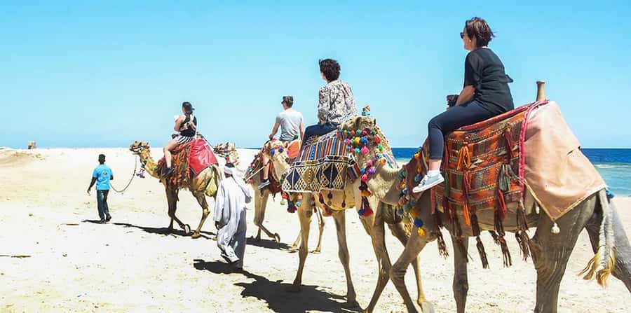 Marsa Alam: Sea and Desert Camel Riding Tour - Is $28 a good value?