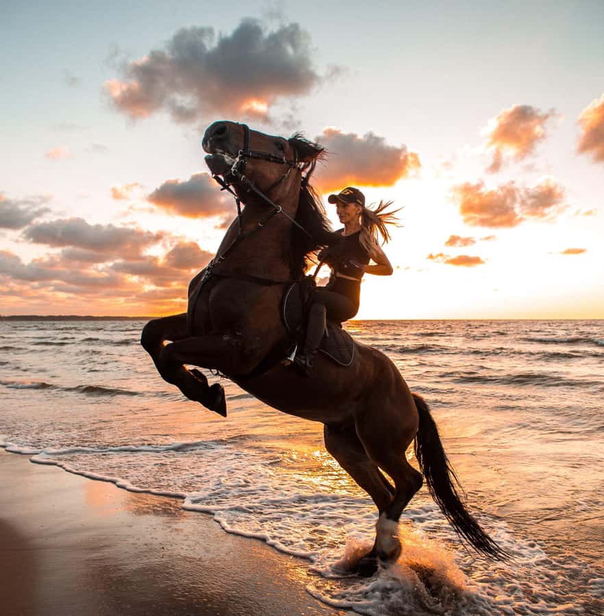 Marsa Alam: Sea and Desert Horse Riding Tour - Key points at a glance