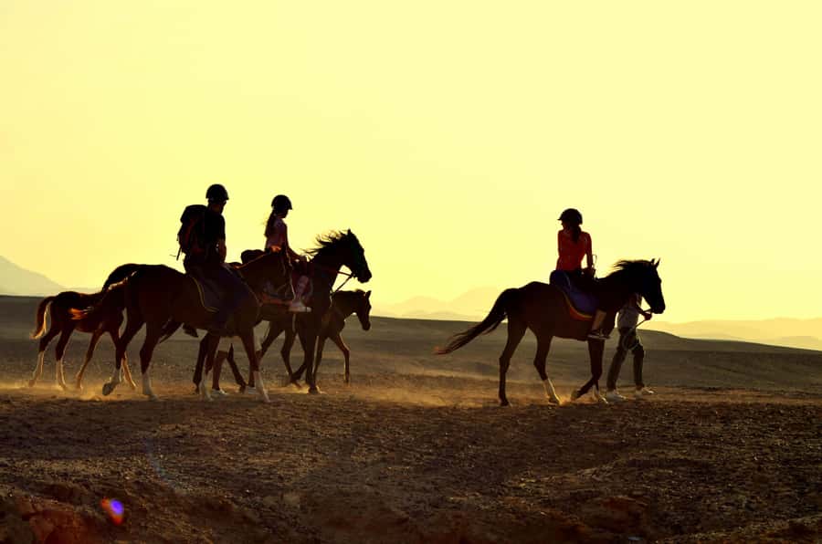 Marsa Alam: Sea and Desert Horse Riding Tour - What the Marsa Alam ride is really like