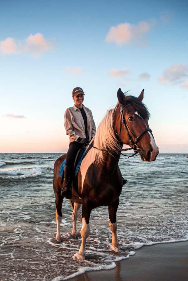 Marsa Alam: Sea and Desert Horse Riding Tour - The desert section: open space and a steady rhythm
