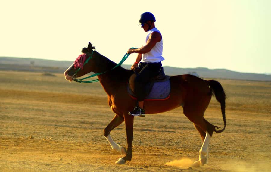 Marsa Alam: Sea and Desert Horse Riding Tour - Reaching the Red Sea shore on horseback