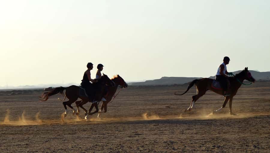 Marsa Alam: Sea and Desert Horse Riding Tour - Choosing sunrise, morning, afternoon, or sunset