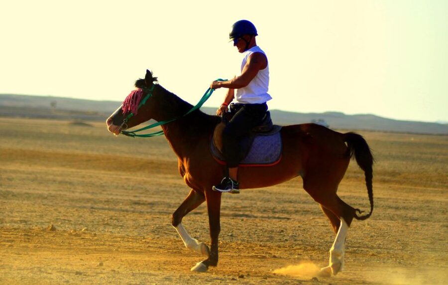 Marsa Alam: Sea and Desert Horse Riding Tour - Hotel transfers from Coraya, Port Ghalib, and Marsa Alam