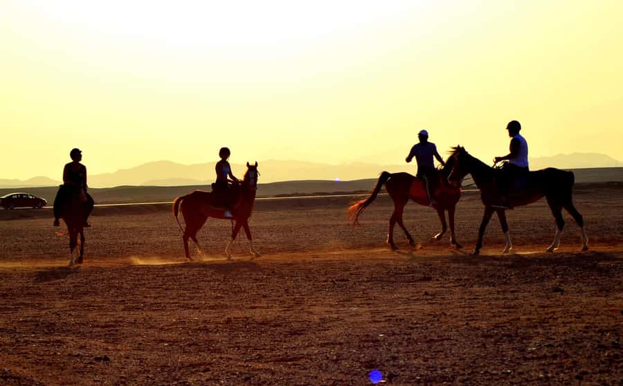 Marsa Alam: Sea and Desert Horse Riding Tour - Guides, communication, and photographs