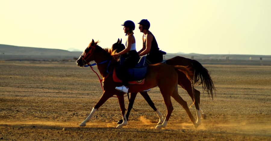 Marsa Alam: Sea and Desert Horse Riding Tour - At the stables: meeting your horse and testing the pace