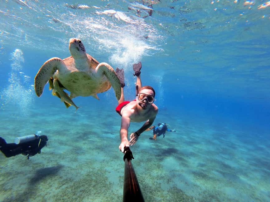 Marsa Alam: Snorkeling with Sea Turtles Marsa Mubarak - First reef stop: coral, fish, and open water