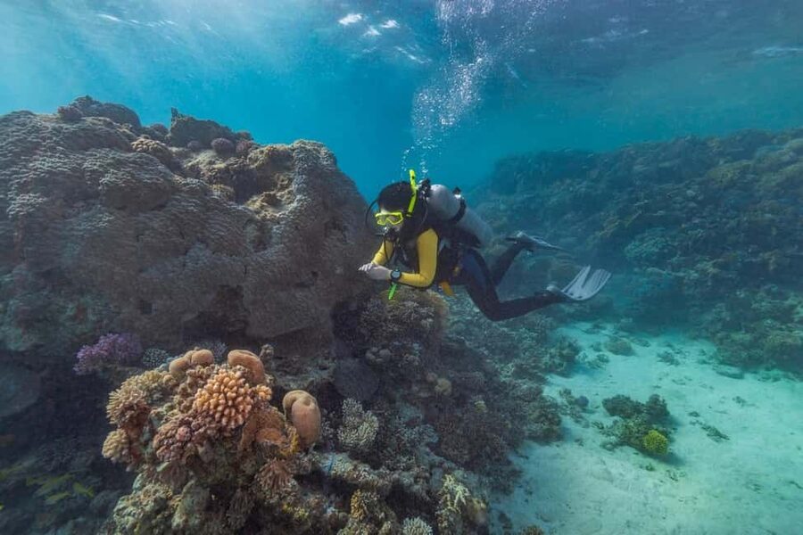 Marsa Alam: Snorkeling with Sea Turtles Marsa Mubarak - Sunset option and the one-hour city tour