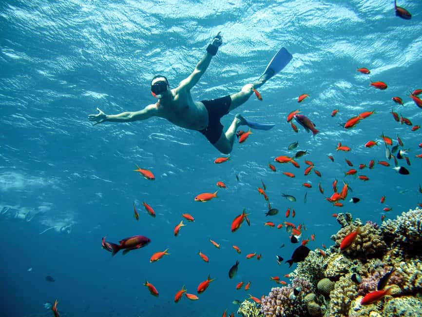 Marsa Alam: Snorkeling with Sea Turtles Marsa Mubarak - Who will enjoy this most?