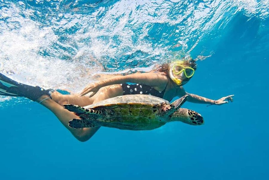 Marsa Alam: Snorkeling with Sea Turtles Marsa Mubarak - The boat ride and coastal views