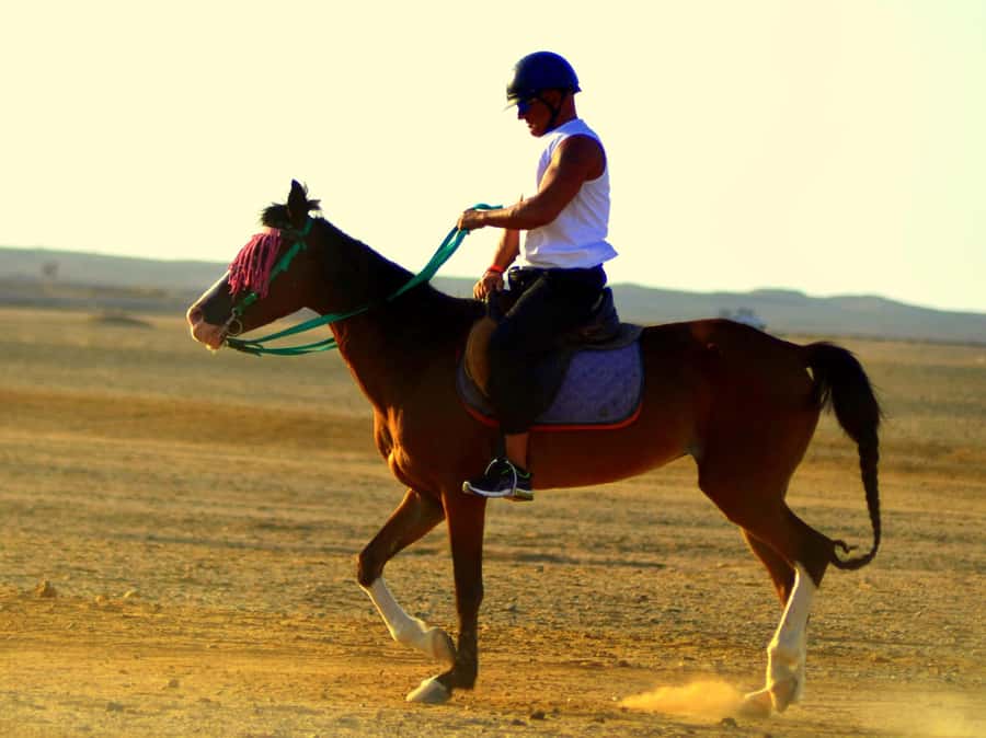 Marsa Alam: Sunrise Horseback with Breakfast - The two-hour desert and coastal route