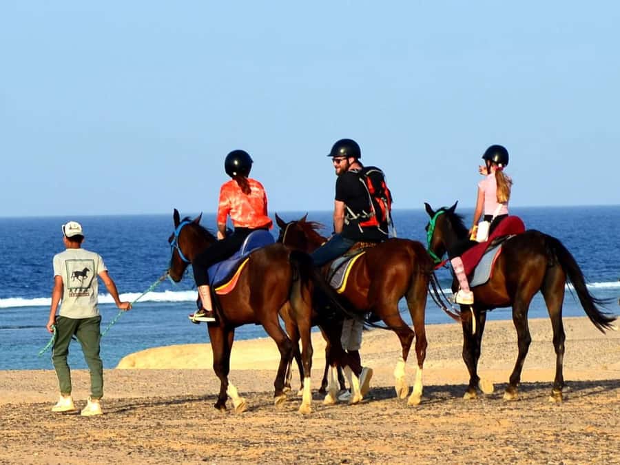 Marsa Alam: Sunrise Horseback with Breakfast - The four-hour VIP ride and Red Sea horse swim