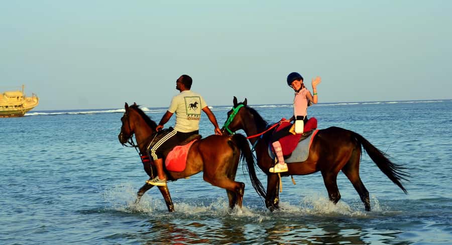 Marsa Alam: Sunrise Horseback with Breakfast - What the $26 price really buys