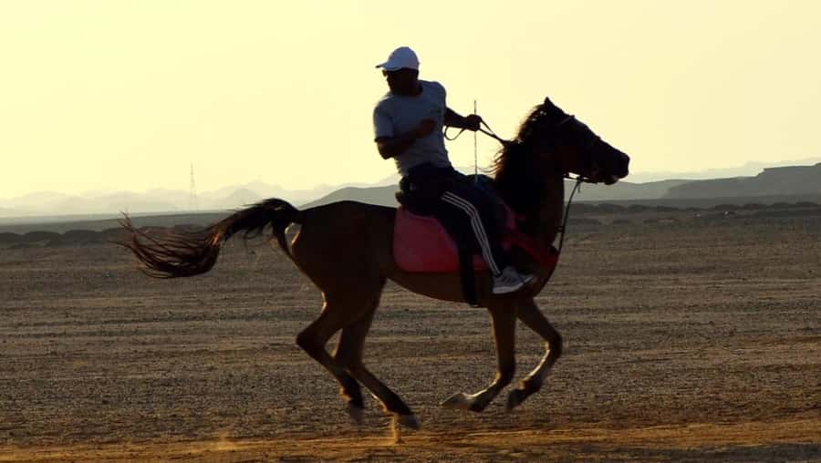 Marsa Alam: Sunrise Horseback with Breakfast - What to pack for the early morning