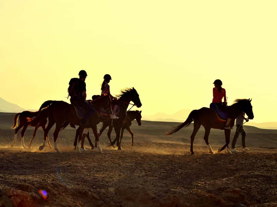 Marsa Alam: Sunrise Horseback with Breakfast - Starting at the stable in Marsa Alam