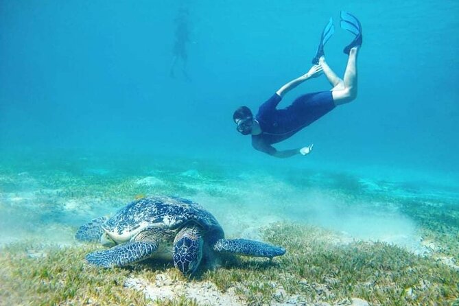 Marsa Mubarak snorkeling with dugong and turtles - marsaalam - Lunch onboard and the midday pause