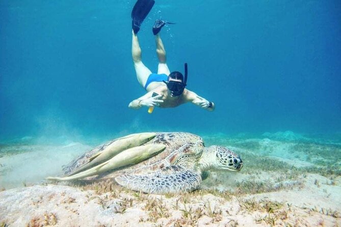 Marsa Mubarak snorkeling with dugong and turtles - marsaalam - Crowds, boats, and the feel of the day