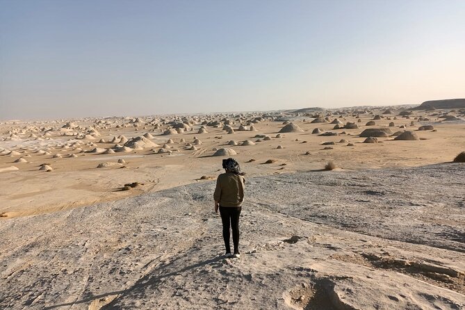 Marvel 10 Day to Giza Pyramids ,White desert ,Nile Cruise & Hotel - The real cost and who gets the best value