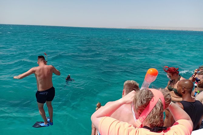 Meet the dolphins in snorkeling tour - What the 25 euro snorkeling guide adds