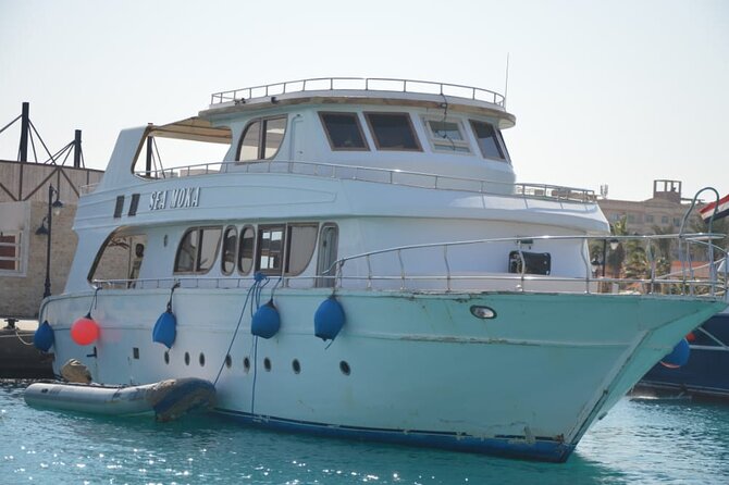 Meet the dolphins in snorkeling tour - Lunch, drinks, and the rhythm of a full day