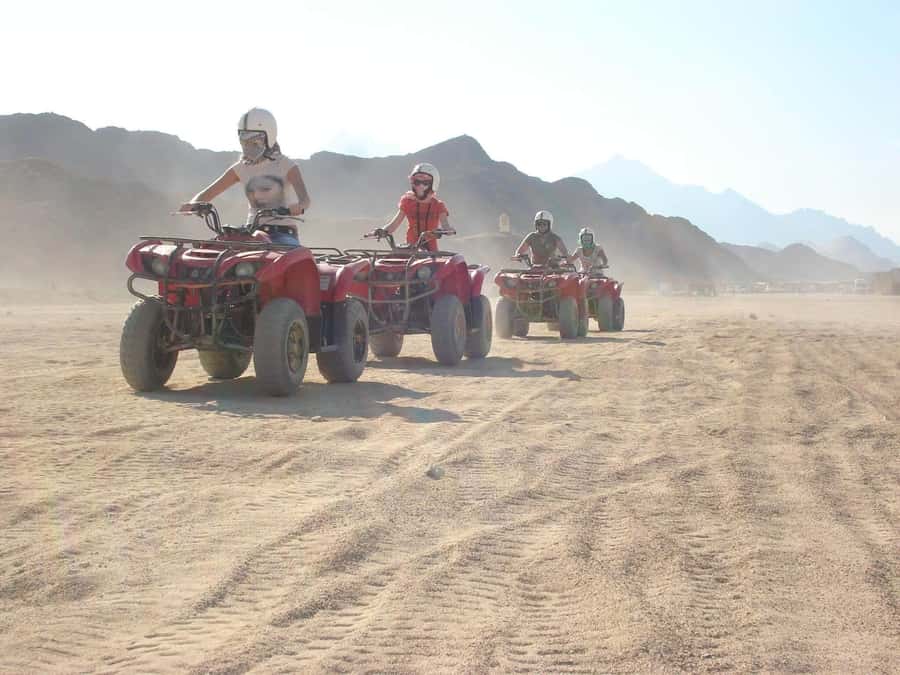 Morning Trip: Desert Safari Riding a Speed Quad Bike, Pickup - Who should book this safari?
