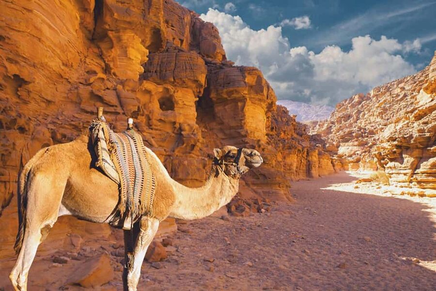Moses Mountain & Saint Catherine from Dahab - Breakfast, refreshments, and the return to Dahab