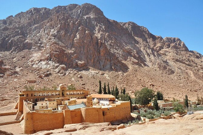 Mount Sinai Climb And St Catherine Monastery From Sharm El Sheikh - Group size, guides, and the human side of the trip