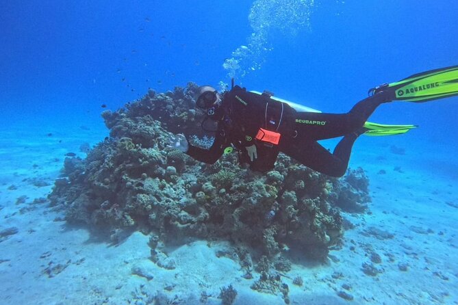 Moving Underwater 2 professional diving with lunch - What a $50 Red Sea boat day actually includes
