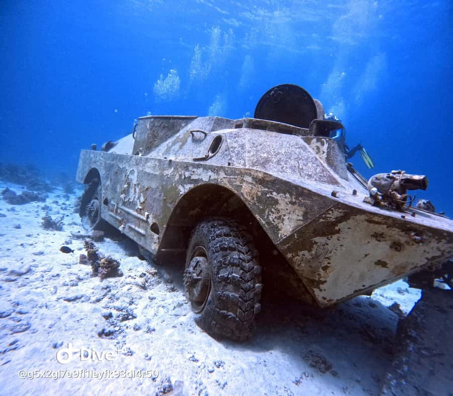Museum Diving Experience in the Red Sea - The second two-hour underwater visit