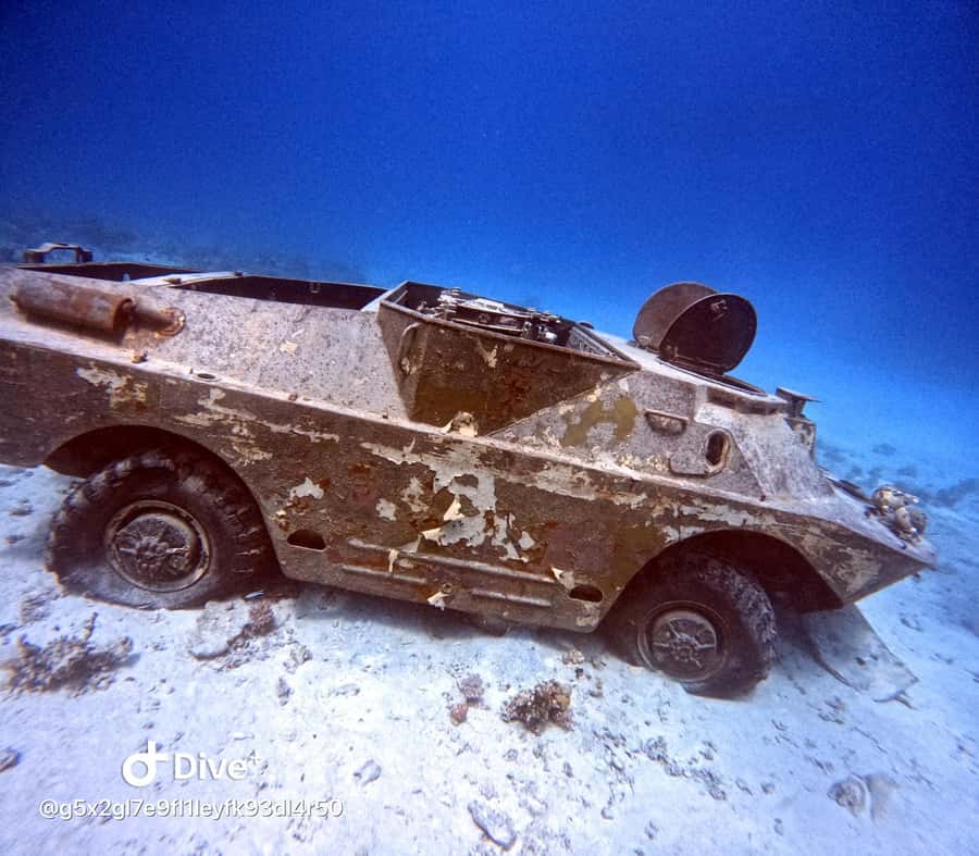 Museum Diving Experience in the Red Sea - What $61 really gets you