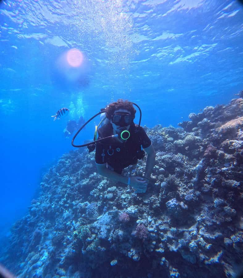 Museum Diving Experience in the Red Sea - Who will enjoy this experience most